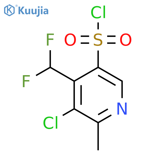 3-Chloro-4-(difluoromethyl)-2-methylpyridine-5-sulfonyl chloride structure