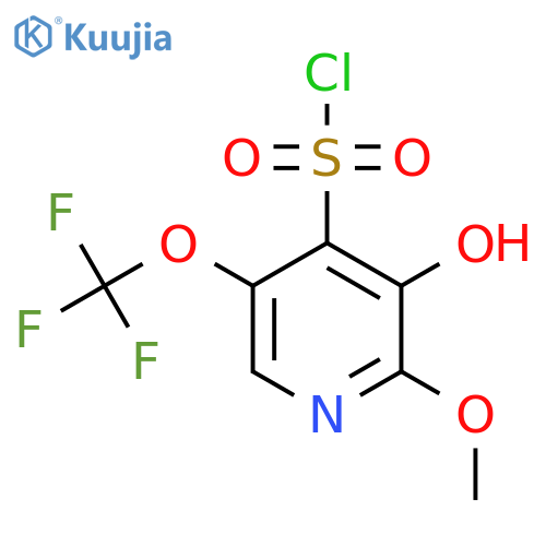 3-Hydroxy-2-methoxy-5-(trifluoromethoxy)pyridine-4-sulfonyl chloride structure