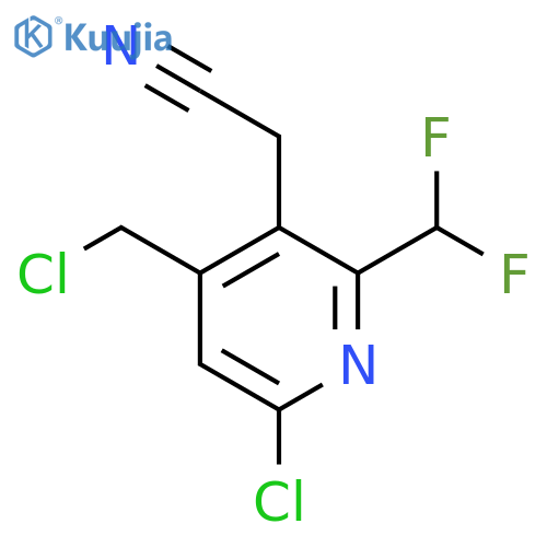 6-Chloro-4-(chloromethyl)-2-(difluoromethyl)pyridine-3-acetonitrile structure