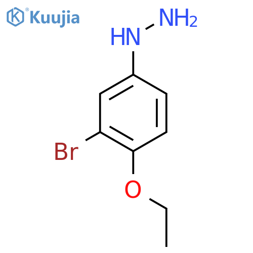 3-Bromo-4-ethoxyphenylhydrazine structure