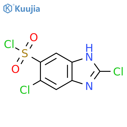 2,5-Dichloro-1H-benzimidazole-6-sulfonyl chloride structure