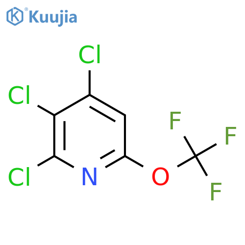 2,3,4-Trichloro-6-(trifluoromethoxy)pyridine structure