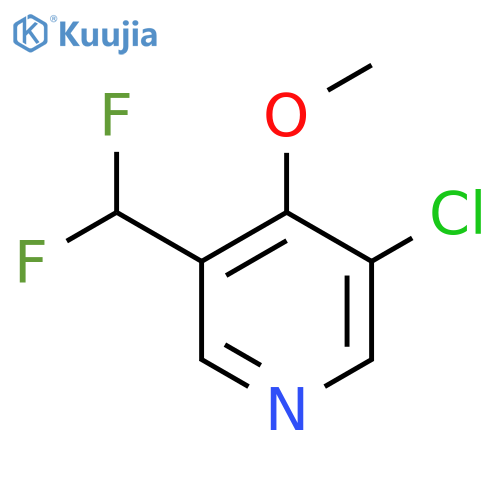 3-Chloro-5-(difluoromethyl)-4-methoxypyridine structure