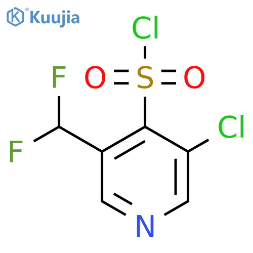3-Chloro-5-(difluoromethyl)pyridine-4-sulfonyl chloride structure