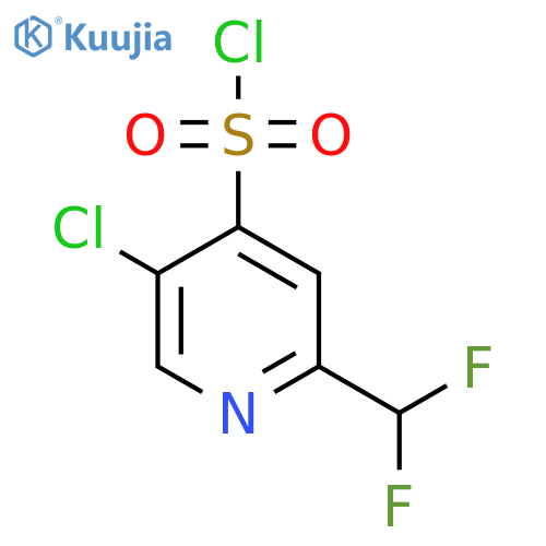 5-Chloro-2-(difluoromethyl)pyridine-4-sulfonyl chloride structure