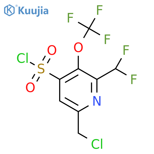 6-(Chloromethyl)-2-(difluoromethyl)-3-(trifluoromethoxy)pyridine-4-sulfonyl chloride structure
