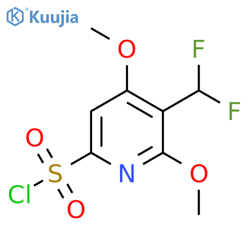 3-(Difluoromethyl)-2,4-dimethoxypyridine-6-sulfonyl chloride structure