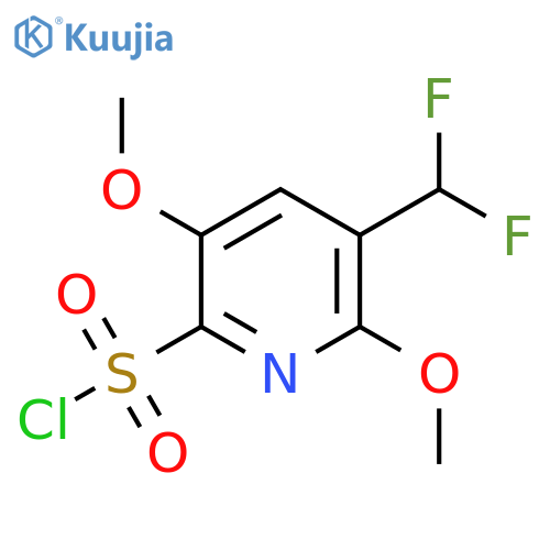 3-(Difluoromethyl)-2,5-dimethoxypyridine-6-sulfonyl chloride structure