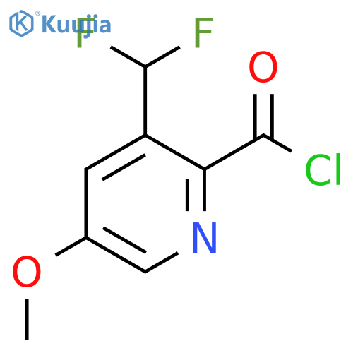 3-(Difluoromethyl)-5-methoxypyridine-2-carbonyl chloride structure