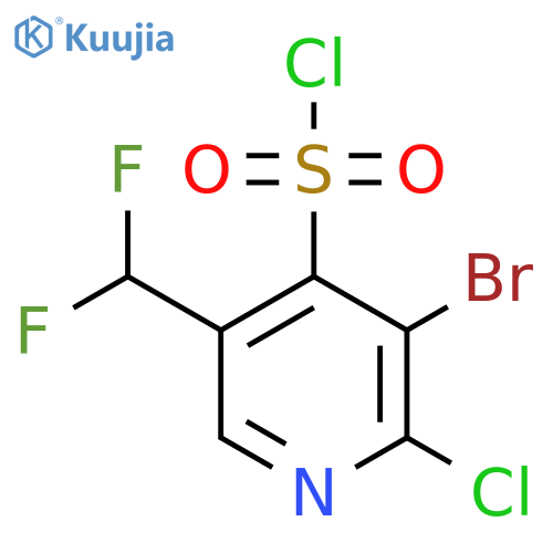 3-Bromo-2-chloro-5-(difluoromethyl)pyridine-4-sulfonyl chloride structure