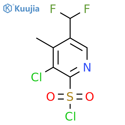 3-Chloro-5-(difluoromethyl)-4-methylpyridine-2-sulfonyl chloride structure