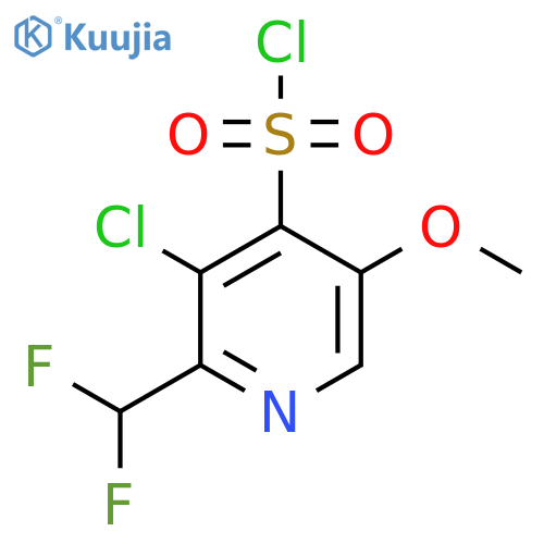 3-Chloro-2-(difluoromethyl)-5-methoxypyridine-4-sulfonyl chloride structure