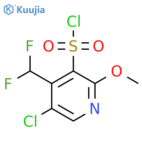 5-Chloro-4-(difluoromethyl)-2-methoxypyridine-3-sulfonyl chloride structure