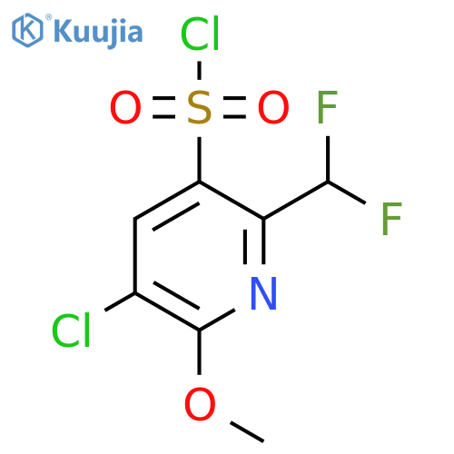 3-Chloro-6-(difluoromethyl)-2-methoxypyridine-5-sulfonyl chloride structure