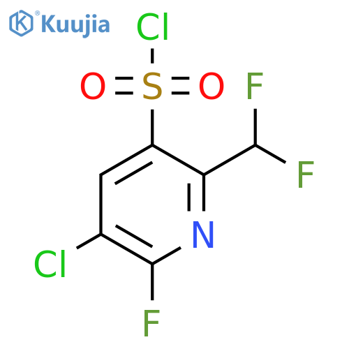 3-Chloro-6-(difluoromethyl)-2-fluoropyridine-5-sulfonyl chloride structure