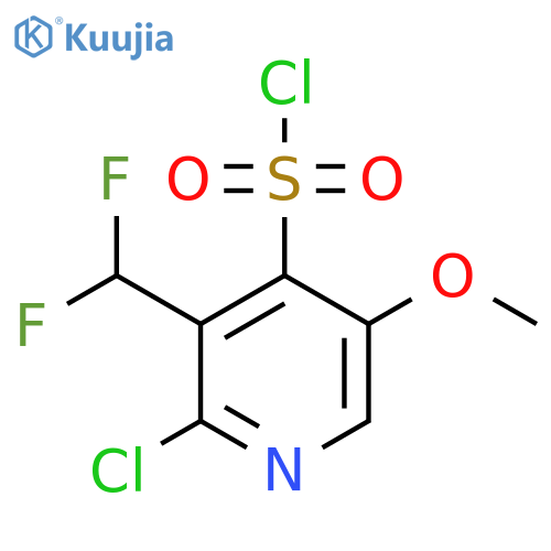 2-Chloro-3-(difluoromethyl)-5-methoxypyridine-4-sulfonyl chloride structure