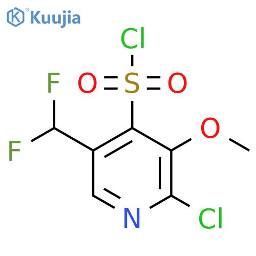 2-Chloro-5-(difluoromethyl)-3-methoxypyridine-4-sulfonyl chloride structure