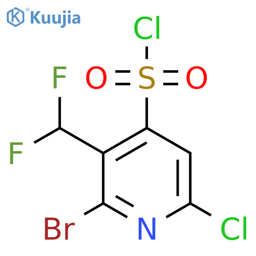 2-Bromo-6-chloro-3-(difluoromethyl)pyridine-4-sulfonyl chloride structure