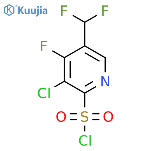 3-Chloro-5-(difluoromethyl)-4-fluoropyridine-2-sulfonyl chloride structure
