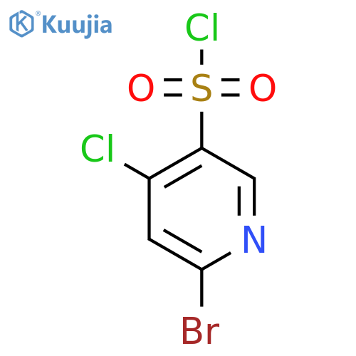 2-Bromo-4-chloropyridine-5-sulfonyl chloride structure