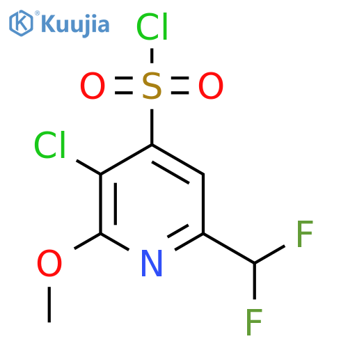 3-Chloro-6-(difluoromethyl)-2-methoxypyridine-4-sulfonyl chloride structure