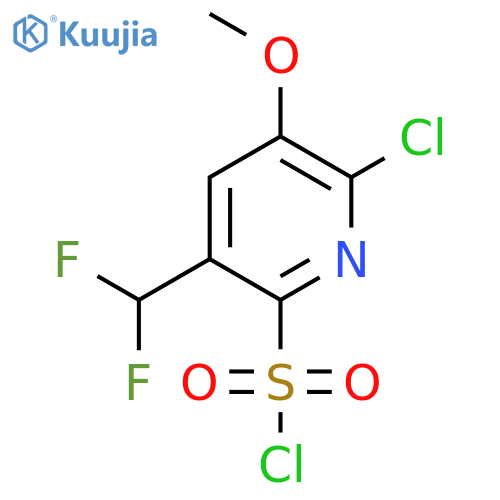 2-Chloro-5-(difluoromethyl)-3-methoxypyridine-6-sulfonyl chloride structure