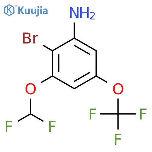 2-Bromo-3-difluoromethoxy-5-(trifluoromethoxy)aniline structure