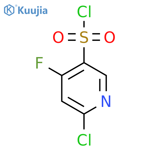 2-Chloro-4-fluoropyridine-5-sulfonyl chloride structure