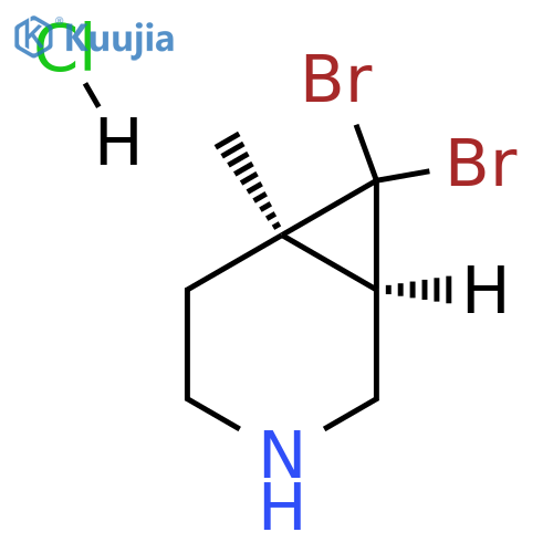 (1R,6R)-7,7-dibromo-6-methyl-3-azabicyclo[4.1.0]heptane hydrochloride structure