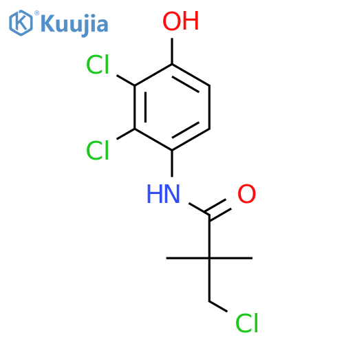 Propanamide, 3-chloro-N-(2,3-dichloro-4-hydroxyphenyl)-2,2-dimethyl- structure