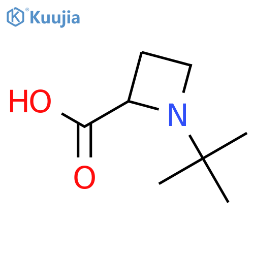 1-tert-butylazetidine-2-carboxylic acid structure