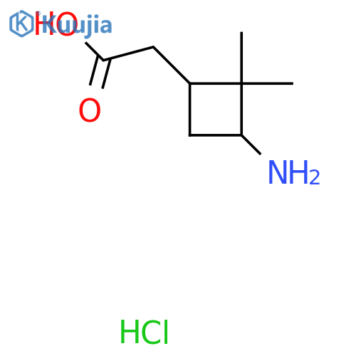 2-(3-Amino-2,2-dimethylcyclobutyl)acetic acid hydrochloride structure