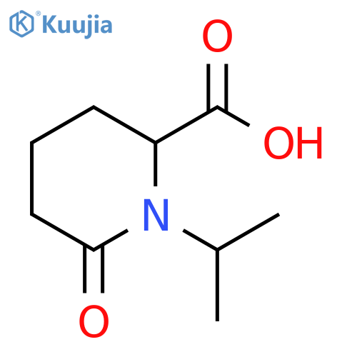 6-Oxo-1-propan-2-ylpiperidine-2-carboxylic acid structure