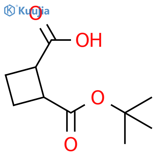 1,2-Cyclobutanedicarboxylic acid, 1-(1,1-dimethylethyl) ester structure