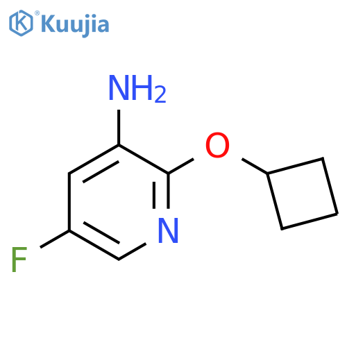 2-Cyclobutoxy-5-fluoropyridin-3-amine structure