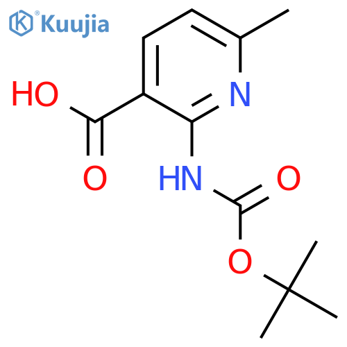 2-{[(Tert-butoxy)carbonyl]amino}-6-methylpyridine-3-carboxylic acid structure