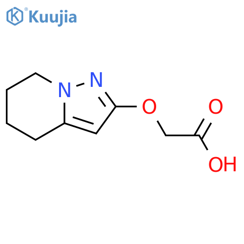 2-{4H,5H,6H,7H-pyrazolo[1,5-a]pyridin-2-yloxy}acetic acid structure