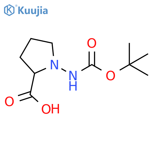 1-{[(tert-butoxy)carbonyl]amino}pyrrolidine-2-carboxylic acid structure