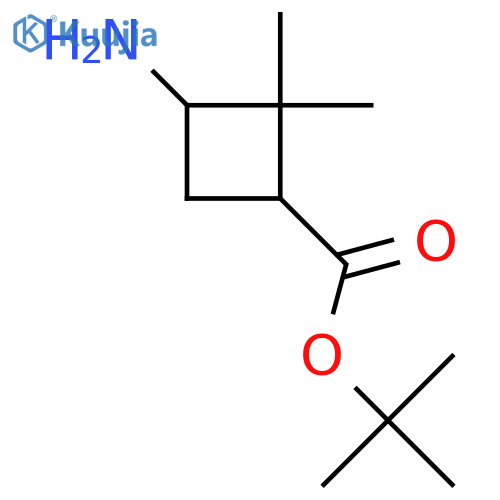 Tert-butyl 3-amino-2,2-dimethylcyclobutane-1-carboxylate structure
