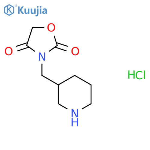 3-(Piperidin-3-ylmethyl)oxazolidine-2,4-dione hydrochloride structure