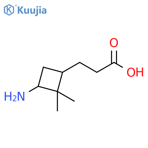 Cyclobutanepropanoic acid, 3-amino-2,2-dimethyl- structure
