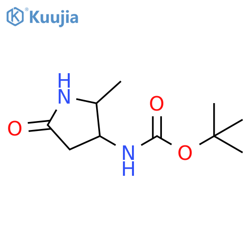 tert-butyl N-(2-methyl-5-oxo-pyrrolidin-3-yl)carbamate structure