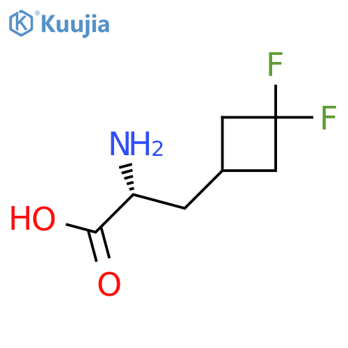 (2R)-2-Amino-3-(3,3-difluorocyclobutyl)propanoic acid structure