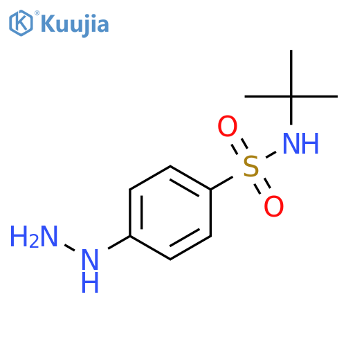 N-tert-butyl-4-hydrazinylbenzenesulfonamide structure