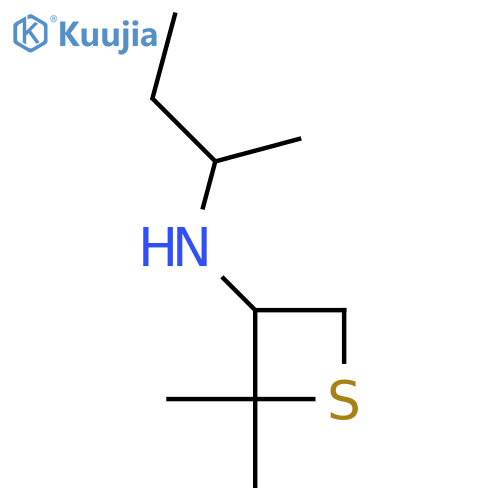N-(butan-2-yl)-2,2-dimethylthietan-3-amine structure