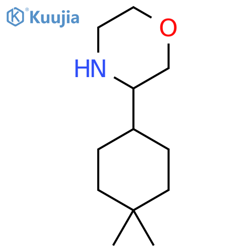 3-(4,4-Dimethylcyclohexyl)morpholine structure
