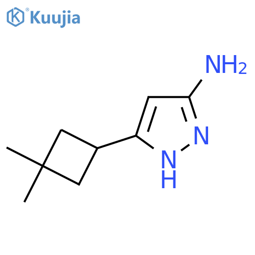 5-(3,3-Dimethylcyclobutyl)-1H-pyrazol-3-amine structure