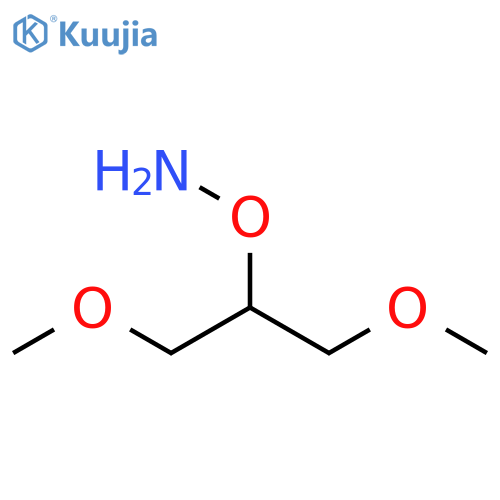 O-(1,3-dimethoxypropan-2-yl)hydroxylamine structure