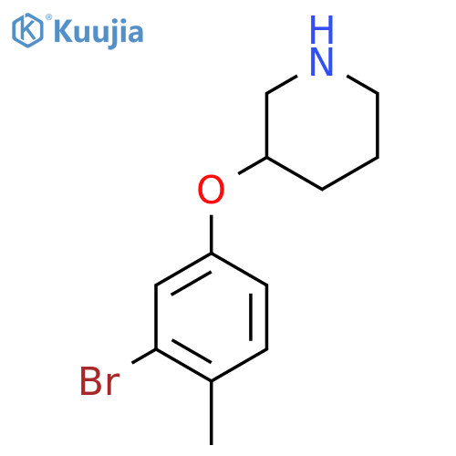 3-(3-Bromo-4-methylphenoxy)piperidine structure