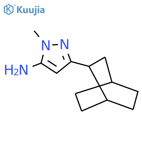 3-{bicyclo[2.2.2]octan-2-yl}-1-methyl-1H-pyrazol-5-amine structure